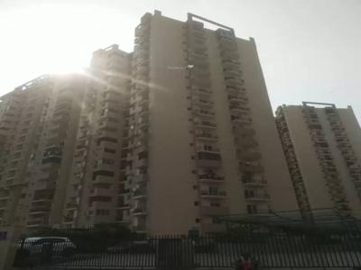 2050 sq ft 3 BHK 3T NorthEast facing Apartment for sale at Rs 63.58 lacs in Paramount Tulip 5th floor in Sector 137, Noida