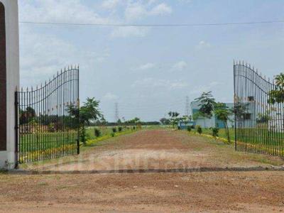 Agricultural Land 3 Acre for Sale in Chhawla, Delhi