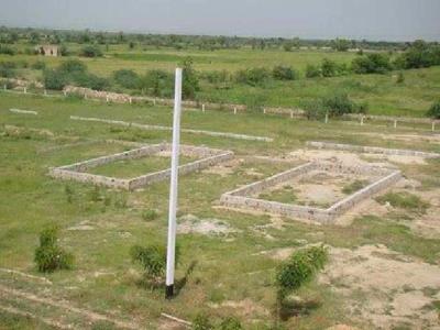 Agricultural Land 4 Acre for Sale in Dichaon Kalan,