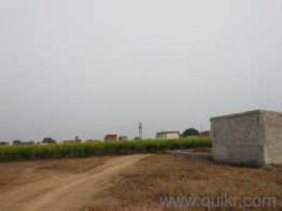 Agricultural Land 1 Acre for Sale in Khera Dabar,