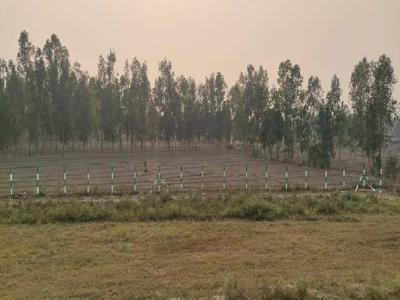Agricultural Land 50 Acre for Sale in Sultanpur Road, Lucknow