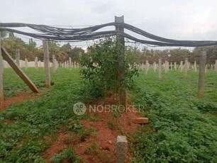 Plot For Sale In Nisarga Scientific Farm In Soladevanahalli