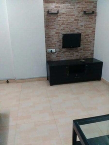 1 BHK Apartment 532 Sq.ft. for Rent in