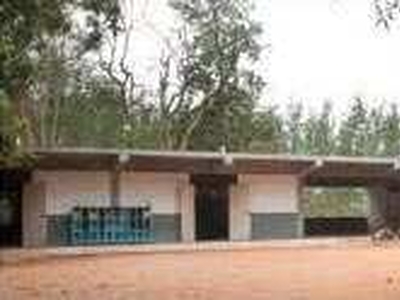 Commercial Land 2500 Sq. Yards for Rent in