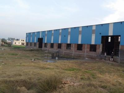 Office Space 8000 Sq.ft. for Rent in Rajpura Colony, Bhadohi
