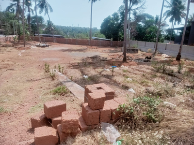 Commercial Land 25 Cent for Rent in Thottada, Kannur
