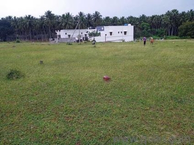 2400 Sq. ft Plot for Sale in Pollachi, Coimbatore