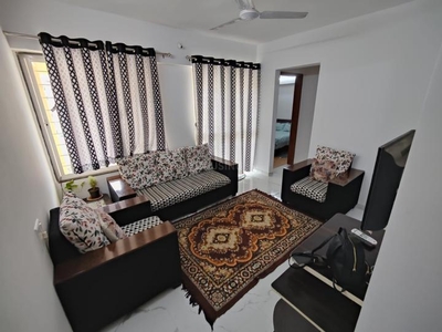 1 BHK Flat for rent in Lohegaon, Pune - 675 Sqft