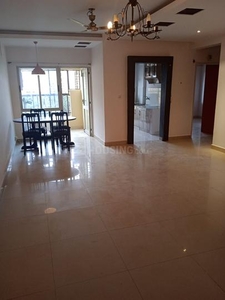 1 BHK Flat for rent in Wakad, Pune - 672 Sqft