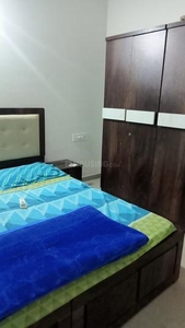 2 BHK Flat for rent in Hinjewadi Phase 3, Pune - 750 Sqft