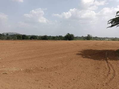 10000 sq ft Completed property Plot for sale at Rs 30.00 lacs in Plot Wale Panvel in Panvel, Mumbai