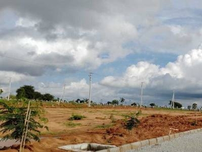1566 sq ft West facing Plot for sale at Rs 13.92 lacs in Dtcp approved open plots in Kandukur, Hyderabad