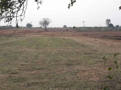 1980 sq ft West facing Plot for sale at Rs 27.50 lacs in HMDA PROPOSED OPEN PLOTS in Tukkuguda, Hyderabad