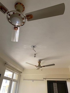 2 BHK Flat for rent in Noida Extension, Greater Noida - 835 Sqft