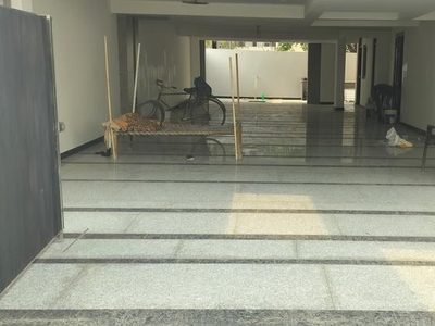 3 Bedroom 250 Sq.Yd. Builder Floor in Sector 89 Faridabad