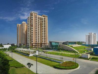 1269 sq ft 2 BHK 2T Apartment for rent in Eldeco Accolade at Sector 2 Sohna, Gurgaon by Agent sumit pratap