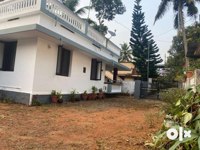 2 BHK House property ,7 cents of Land near Chottanikkara