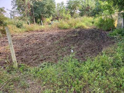Agricultural Land 5000 Sq.ft. for Sale in Atul, Valsad
