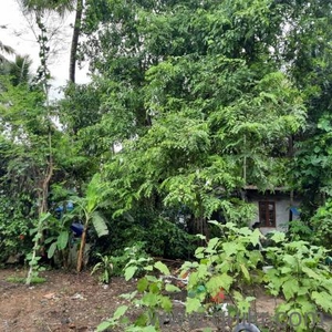 5400 Sq. ft Plot for Sale in North Paravoor, Kochi