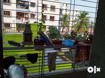 Sale: Ready to Move (May 10) 3 BHK Flat in Arrah main road