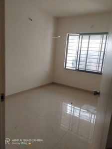 526 sq ft 1 BHK 1T Apartment for rent in Rohan Ipsita at Hinjewadi, Pune by Agent Market Ginie