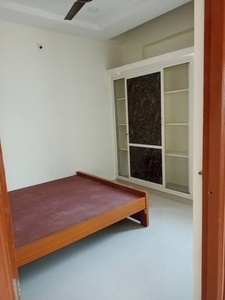 950 sq ft 1 BHK 1T Apartment for rent in Project at Kondapur, Hyderabad by Agent Thirupathi Rentals