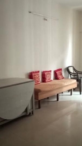 1 BHK Flat for rent in Hinjawadi, Pune - 575 Sqft