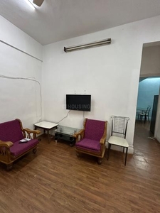 1 BHK Flat for rent in Koregaon Park, Pune - 650 Sqft