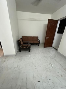 1 BHK Flat for rent in Kothrud, Pune - 700 Sqft