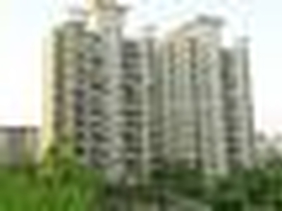 1 BHK Flat for rent in Undri, Pune - 600 Sqft