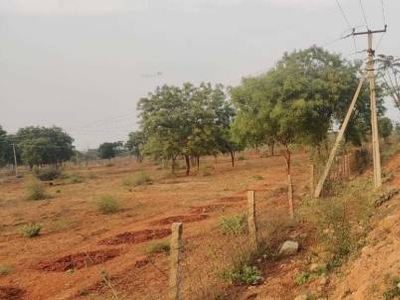 1602 sq ft East facing Plot for sale at Rs 31.15 lacs in Project in Shamirpet, Hyderabad