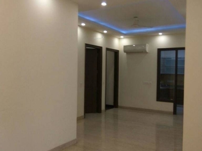 2250 sq ft 4 BHK 4T Apartment for rent in DLF Belvedere Tower at Sector 24, Gurgaon by Agent Raman Singh