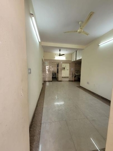 3 BHK Flat for rent in Paschim Vihar, New Delhi - 1300 Sqft