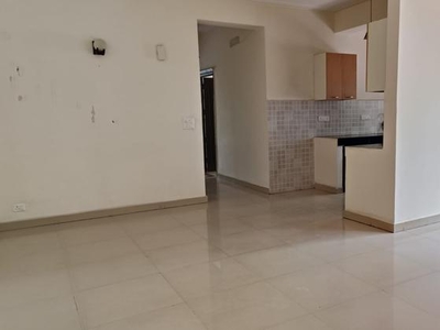 3.5 Bedroom 167 Sq.Yd. Independent House in Sector 20 Noida