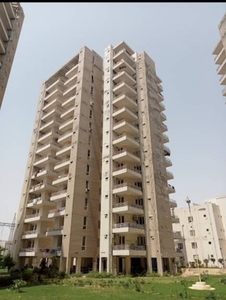 450 sq ft 1 BHK 1T Apartment for rent in GLS Avenue 51 at Sector 92, Gurgaon by Agent RR Buildcon Pvt Ltd