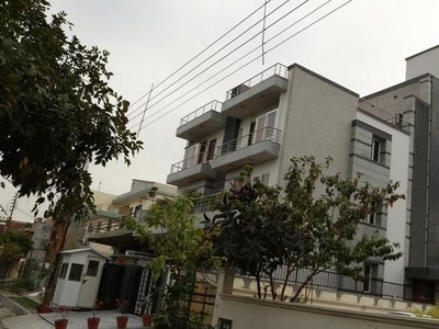 6+ Bedroom 10000 Sq.Ft. Independent House in Sector 51 Noida