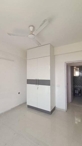 650 sq ft 2 BHK 2T Apartment for rent in Signature Global Synera at Sector 81, Gurgaon by Agent aman