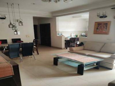 1035 sq ft 2 BHK 2T Apartment for sale at Rs 70.00 lacs in Amrapali Silicon City in Sector 76, Noida