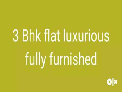 2 bhk and 3 BHK luxury flat Steel parking prime location