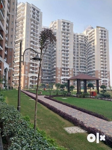4bhk Available in Ambika Florence Park New Chandigarh
