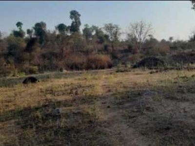 Agricultural Land 1 Acre for Sale in Alibag, Raigad