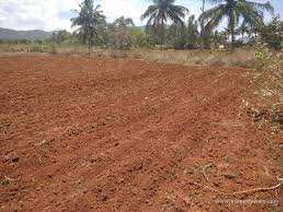 Agricultural Land 1 Acre for Sale in Ramnagar, Sonipat