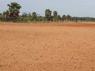 Agricultural Land 1 Acre for Sale in Ratangarh, Sonipat Sonipat