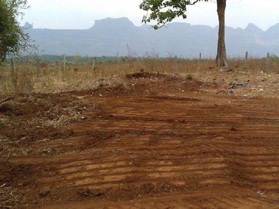 Agricultural Land 1 Acre for Sale in Sanarpatti, Dindigul