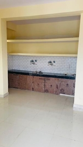 1 BHK Independent House for rent in Sector 51, Noida - 850 Sqft