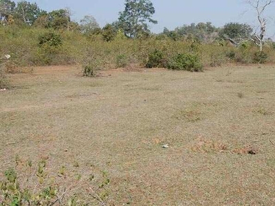 Commercial Land 1000 Sq. Yards for Sale in Gurdev Nagar, Ludhiana