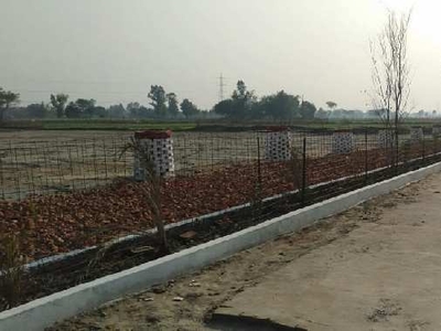 Residential Plot 1000 Sq.ft. for Sale in Kalli Poorab, Lucknow