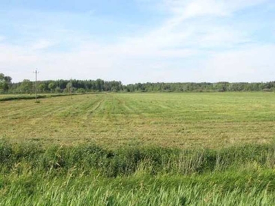 Agricultural Land 18 Acre for Sale in