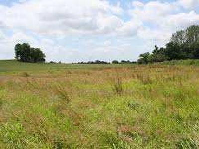 Residential Plot 2 Acre for Sale in Dadri, Bhiwani