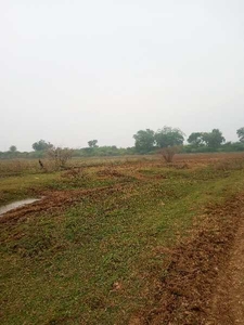Agricultural Land 2 Bigha for Sale in Rawatbhata, Kota